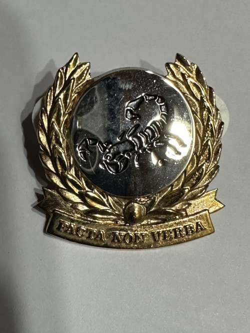 Gatsrand Commando Beret Badge