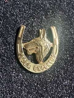 12 Sai Beret Badge   SADF