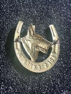 12 Sai Beret Badge   SADF