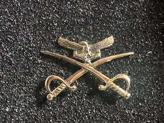 SAAF Instructors PTI Left Facing Badge