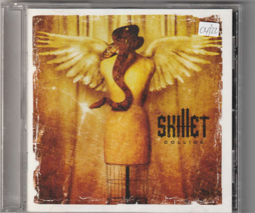 Skillet Collide