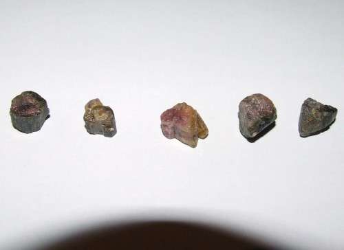 Watermelon Tourmaline - small rough pieces x 1