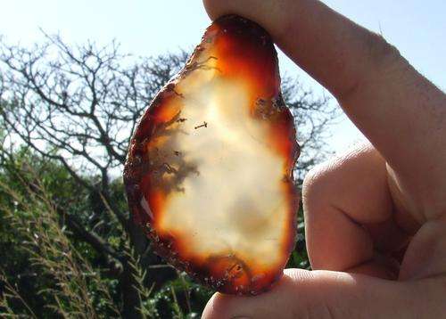 CARNELIAN SLICE