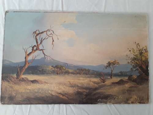 Beautiful oil Painting  35cm by 56cm Unframed