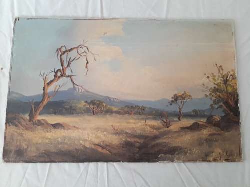 Beautiful oil Painting  35cm by 56cm Unframed