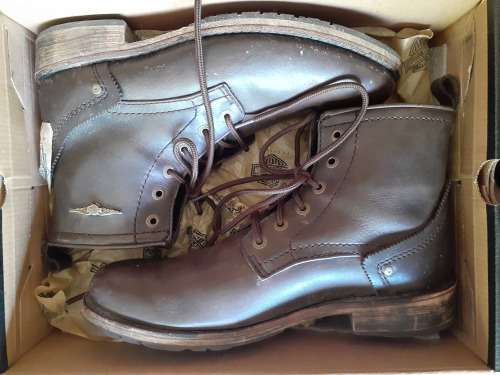 Harley-Davidson Boots size 9 (very good condition)