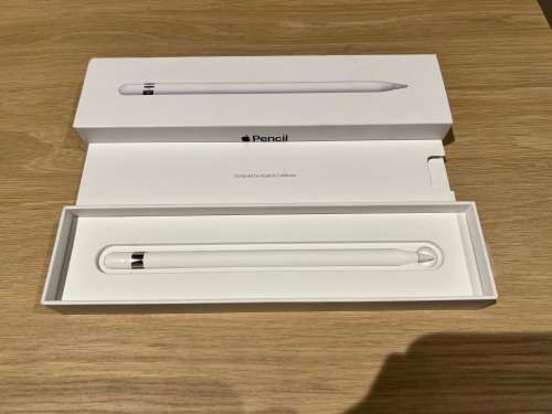 Apple IPad Pro 9.7 Inch | Wifi and Cellular | 256 Gb Storage | Apple Pencil, Case and Cover Included
