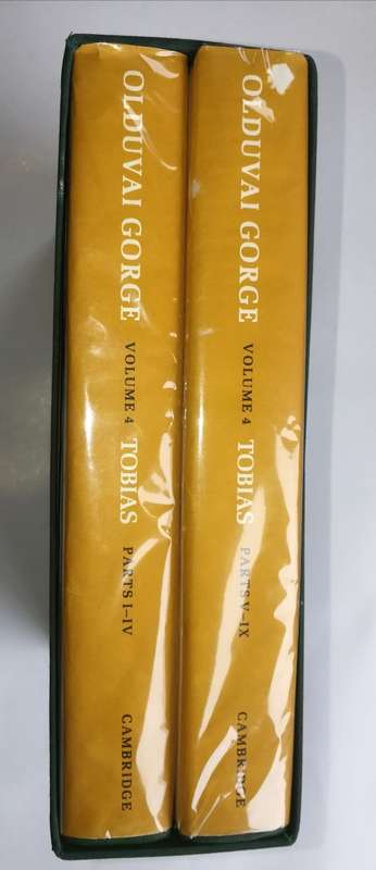 Olduvai Gorge: Volume 4, The Skulls, Endocasts, and Teeth of Homo Habilis - by Tobias, Phillip. V