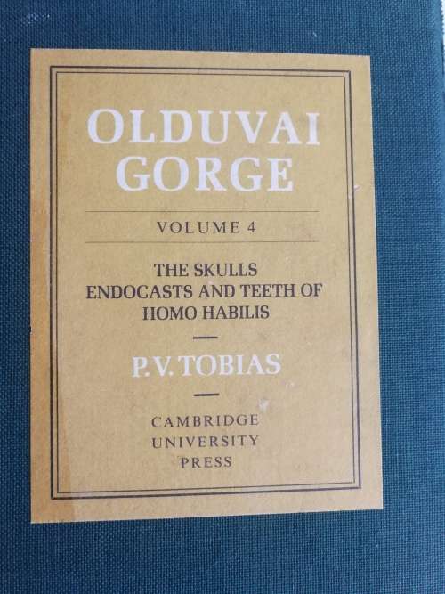 Olduvai Gorge: Volume 4, The Skulls, Endocasts, and Teeth of Homo Habilis - by Tobias, Phillip. V