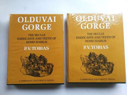 Olduvai Gorge: Volume 4, The Skulls, Endocasts, and Teeth of Homo Habilis - by Tobias, Phillip. V