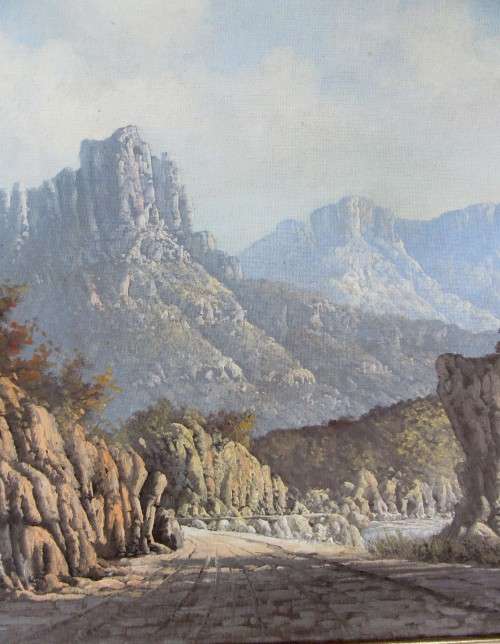 LARGE FRAMED SOUTH AFRICAN LISTED ARTIST NICO COETZEE~ORIGINAL OIL ON BOARD MOUNTAIN SCENE