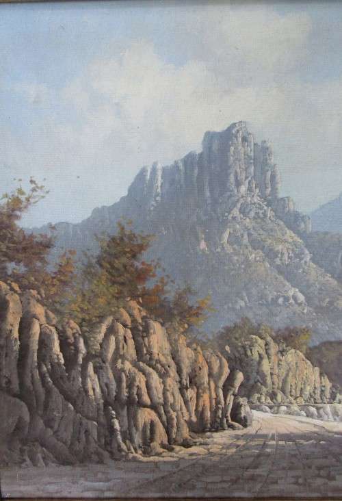 LARGE FRAMED SOUTH AFRICAN LISTED ARTIST NICO COETZEE~ORIGINAL OIL ON BOARD MOUNTAIN SCENE