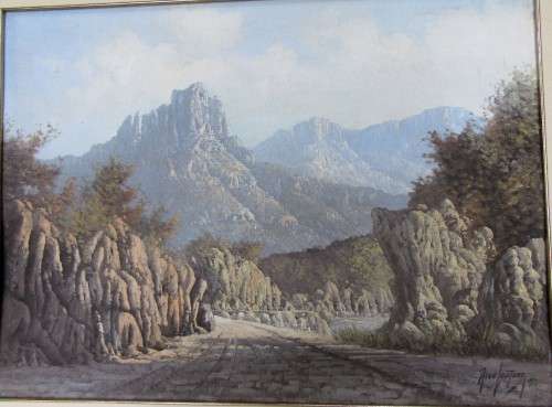 LARGE FRAMED SOUTH AFRICAN LISTED ARTIST NICO COETZEE~ORIGINAL OIL ON BOARD MOUNTAIN SCENE