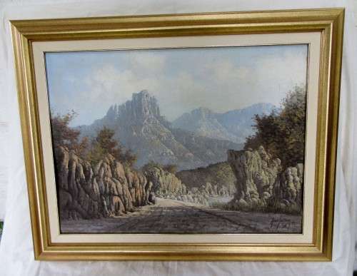 LARGE FRAMED SOUTH AFRICAN LISTED ARTIST NICO COETZEE~ORIGINAL OIL ON BOARD MOUNTAIN SCENE