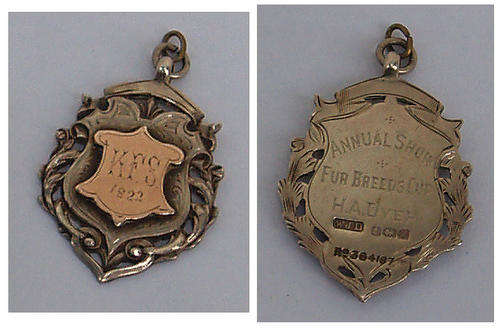 HALLMARKED SILVER AND 9CT GOLD ANTIQUE PENDANT~COMBINED WEIGHT 12 GRMS
