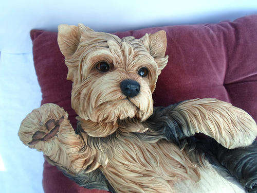TOO CUTE~PUPPY LOVE LIFE SIZE COUNTRY ARTIST YORKIE PLAYING~AMAZING LIFE LIKE~SIGNED