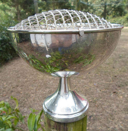 LARGE SP ROSE BOWL ON PEDESTAL WITH CLIP ON FLOWER MESH VGC