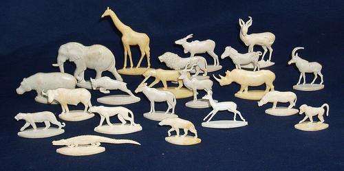 VERY RARE 1961 COCA-COLA AFRICAN ANIMAL SERIES~COMPLETE SET + RARE SPRINGBOK WOW!!