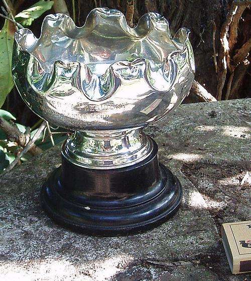 SHAPELY USEFUL VINTAGE SILVER PLATE SPORTING ROSE BOWL~HALLMARKS LIKE SILVER
