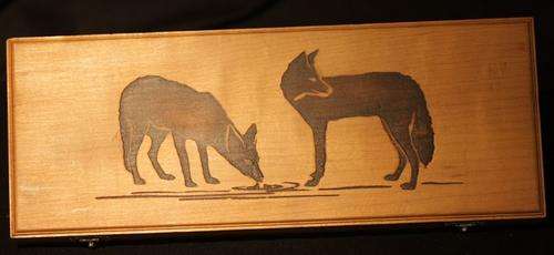 2006 Wildlife Series Prestige Set - The Black-Backed Jackal