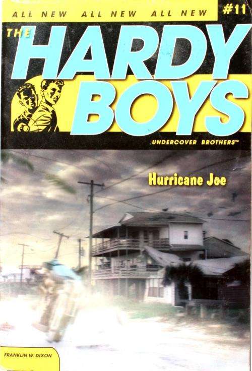 THE HARDY BOYS: HURRICANE JOE