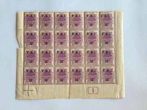 OFS 1900 PURPLE