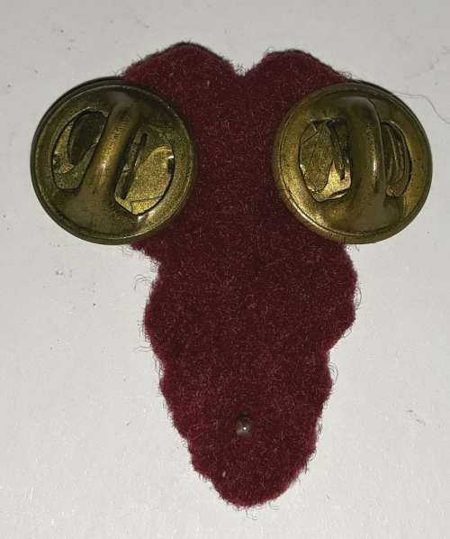 SA Medical Services Technical and Administration Services Breast Badge