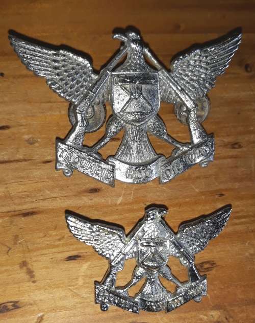SADF De Wet Regiment Cap And Collar Badge