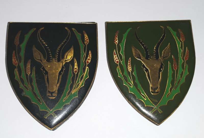 SADF Fifth Infantry Lucite Shoulder Flash Pair