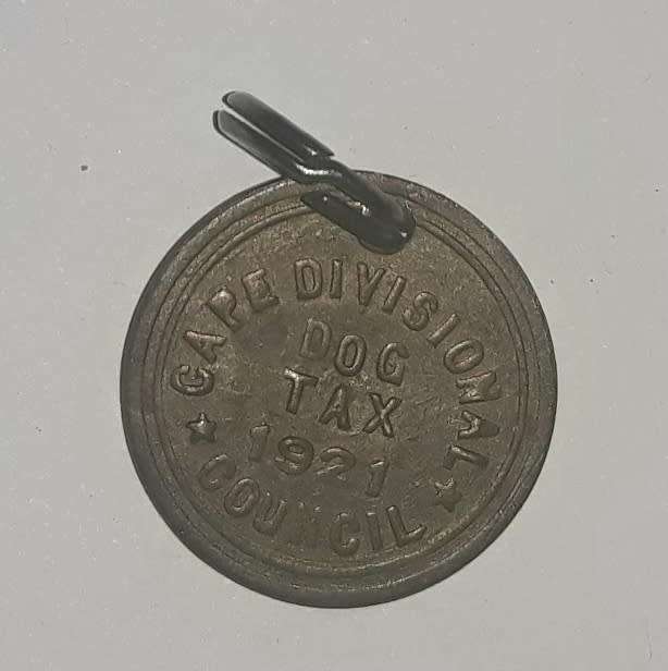 Antique 1921 Cape Divisional Council Dog Tax License Tag