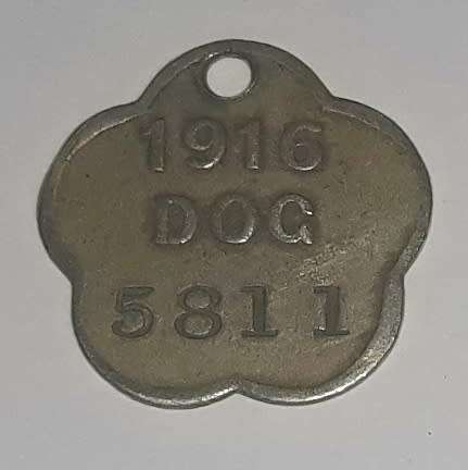 Antique 1916 City of Cape Town Dog License Tag