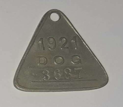 Antique 1921 City of Cape Town Dog License Tag