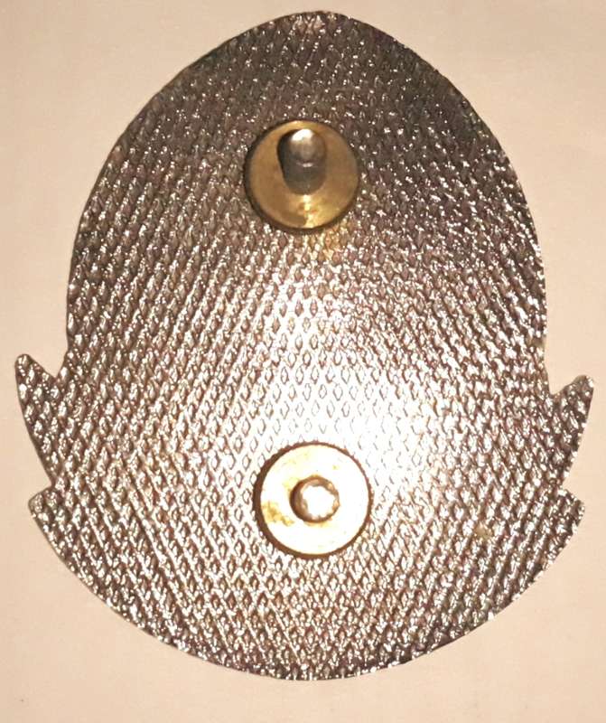 SADF 21st Infantry Battalion Cap Badge