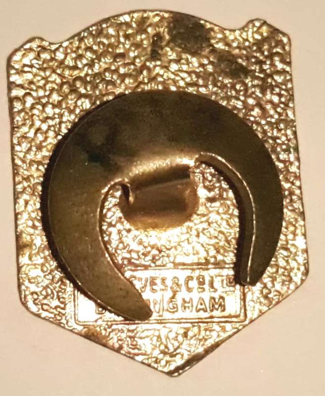 Vintage 1950s Albion Motors Button badge
