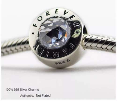 925 Sterling Silver Forever Family Charm