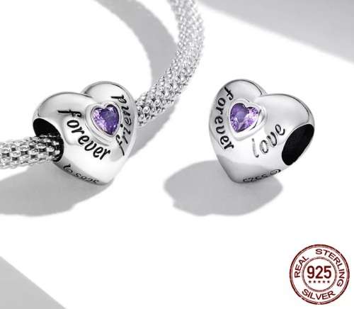 925 Sterling Silver Forever Friend Charm