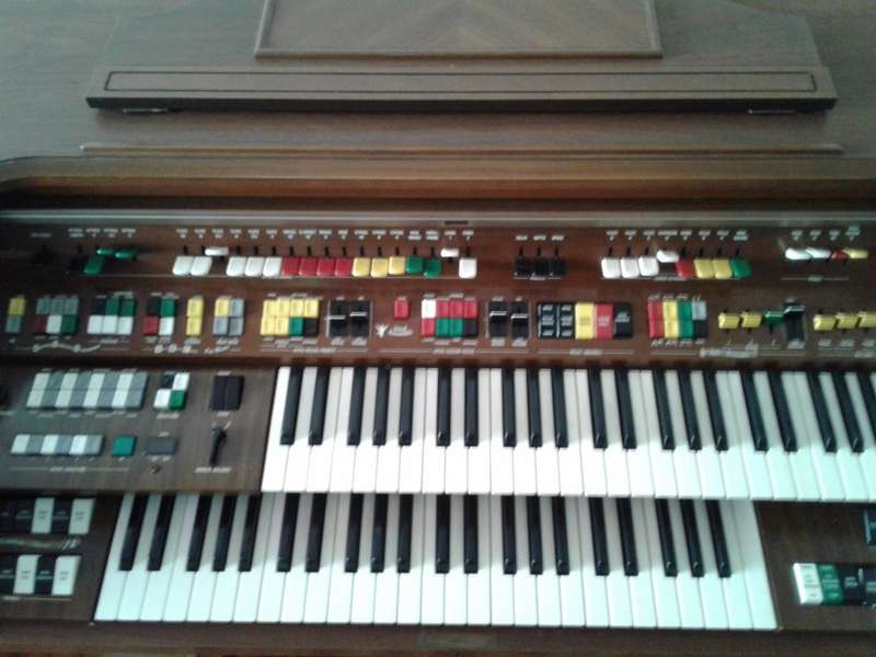 YAMAHA ORGAN ELECTONE ORGAN D-65 - COLLECTION ROODEPOORT