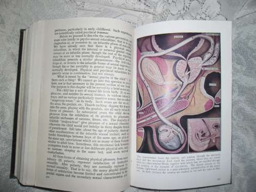Not for the prudish ......The Encyclopaedia of Sex Practice. Norman Haire. 1958 Reprint.