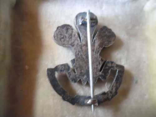 SLR Officers Badge-Cecil Wallis - Died of wounds at Le Treport Oct 1918 .Prince of Wales Volunteers