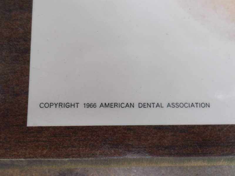Set of 4  American Dental Association dental wall plaque displays. W R Schwartz. 1966