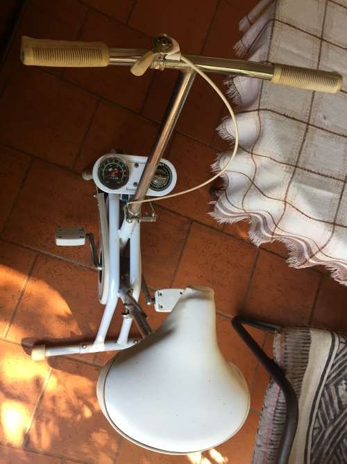 Vintage Exercise Gym Bicycle
