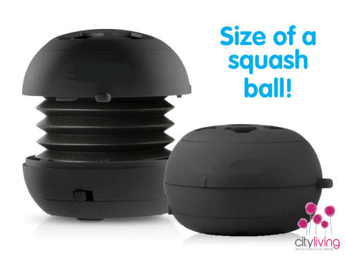 Mini Bass Speaker