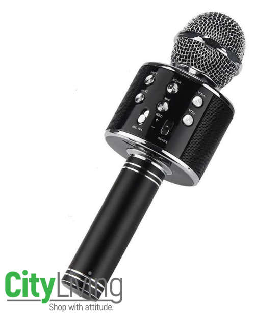 Portable Karaoke Microphone