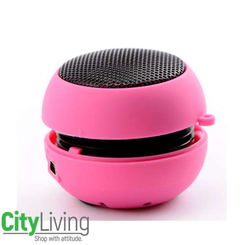Mini Bass Speaker