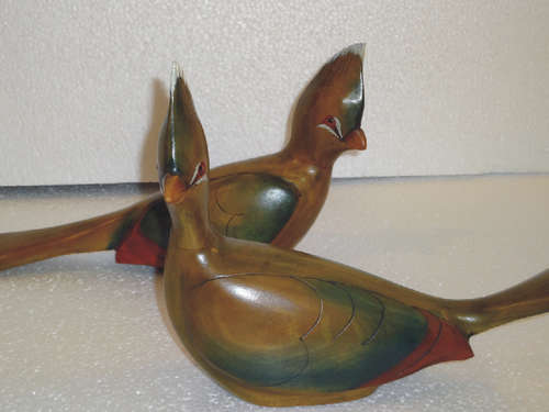 Feathers Gallery Pair of Knysna Loeries