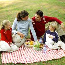 Family Picnic Set (Bulk Lot of Goodies)