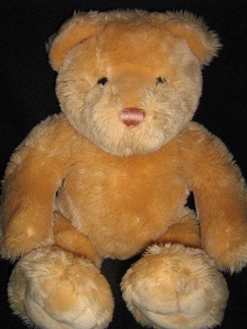 Fluffy Bear