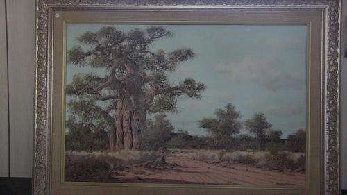 Francois Badenhorst - Kremetart boom