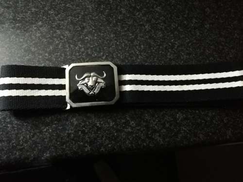 Stable belt