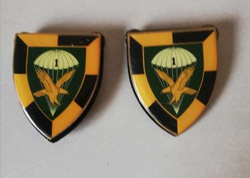 1 Paratrooper regiment flashes
